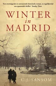 Tapa de Winter in Madrid