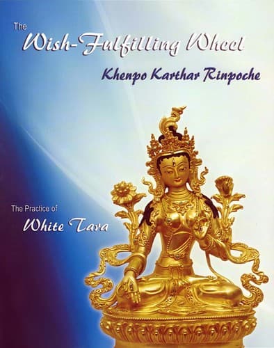 Tapa de The Wish-fulfilling Wheel
