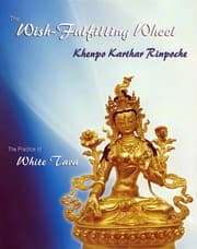 Tapa de The Wish-fulfilling Wheel
