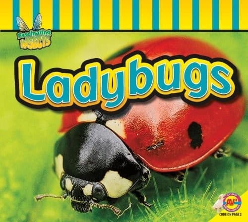 Tapa de Ladybugs (Fascinating Insects)