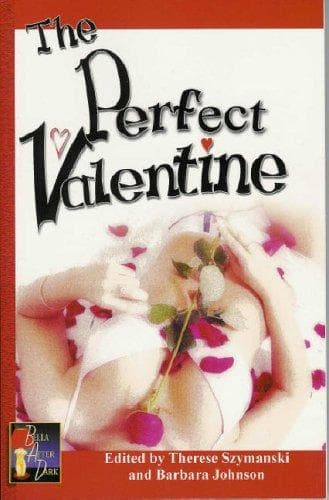 Tapa de The perfect Valentine