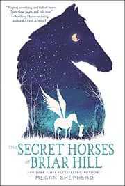 Tapa de The Secret Horses of Briar Hill