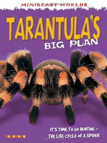 Tapa de Mb Tarantulas Big Plan (Mini Beasts)