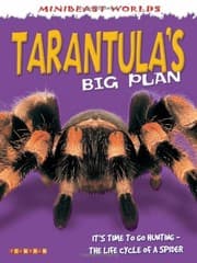 Tapa de Mb Tarantulas Big Plan (Mini Beasts)