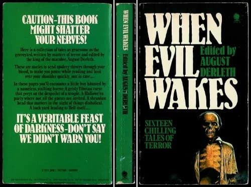 Tapa de When Evil Wakes