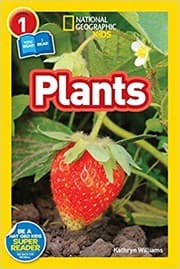 Tapa de Plants