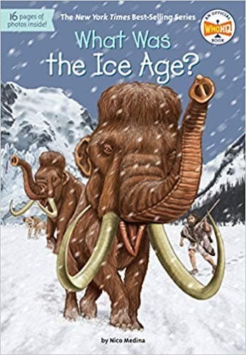 Tapa de What was the Ice Age?