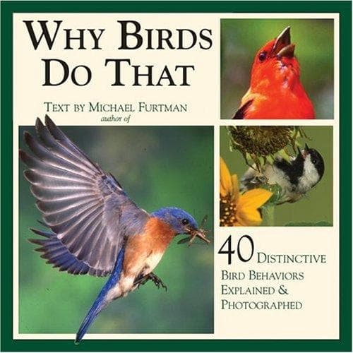 Tapa de Why Birds Do That