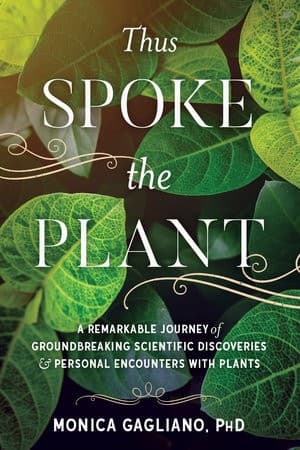 Tapa de Thus Spoke The Plant