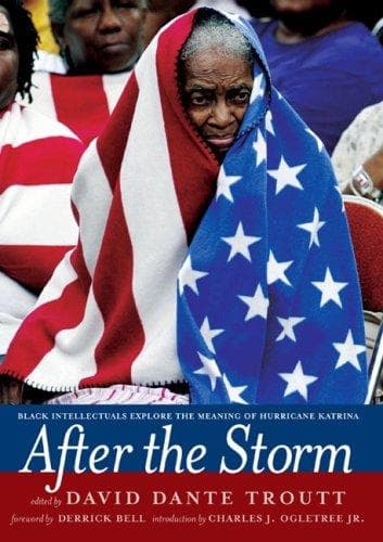 Tapa de After the Storm