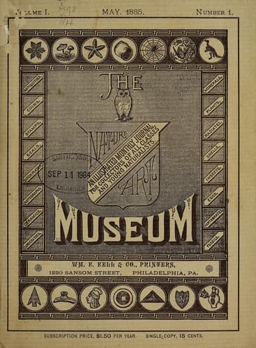 Tapa de The Museum