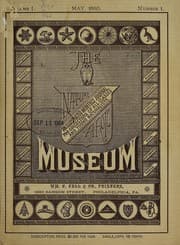 Tapa de The Museum