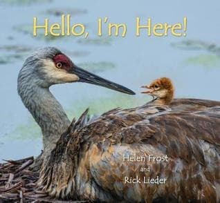 Tapa de Hello, I'm Here!