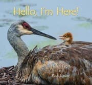 Tapa de Hello, I'm Here!