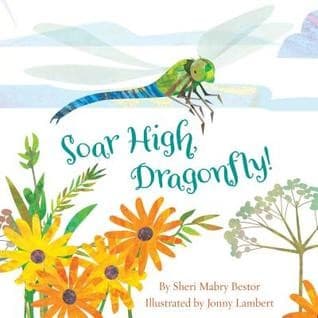 Tapa de Soar High, Dragonfly!