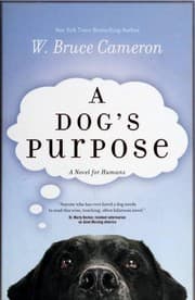 Tapa de A Dog's Purpose
