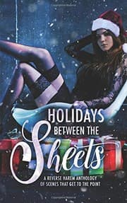 Tapa de Holidays Between the Sheets: A Reverse Harem Anthology of Festive Scenes that Get to the Point