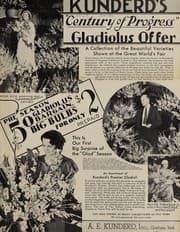 Tapa de Kunderd's "Century of Progress" gladiolus offer