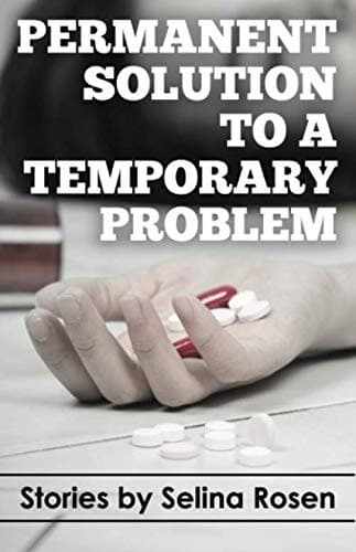 Tapa de Permanent Solution to a Temporary Problem