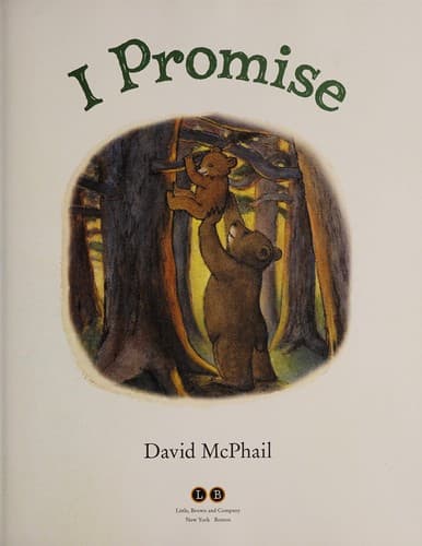 Tapa de I promise