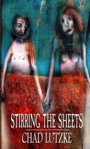 Tapa de Stirring the Sheets