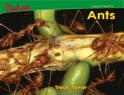 Tapa de Ants (Bugs!)