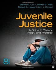 Tapa de Juvenile Justice: A Guide to Theory, Policy, and Practice
