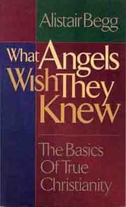 Tapa de What Angels Wish They Knew: The Basics of True Christianity