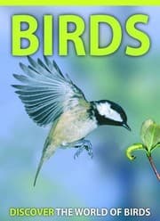 Tapa de Birds