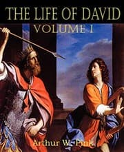 Tapa de The Life of David Volume I