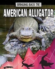 Tapa de American Alligator