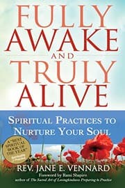 Tapa de Fully Awake and Truly Alive: Spiritual Practices To Nurture Your Soul
