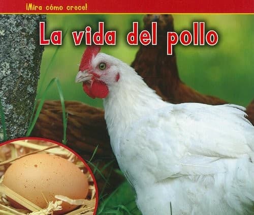 Tapa de A Chicken's Life