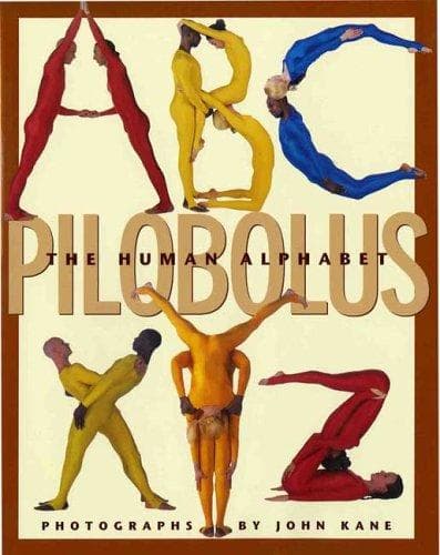 Tapa de The human alphabet