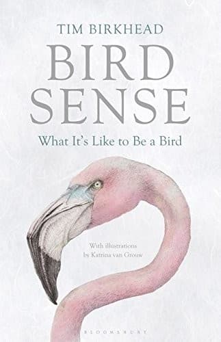 Tapa de Bird Sense
