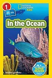 Tapa de In the ocean