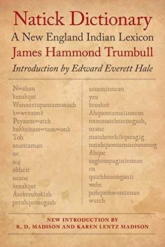 Tapa de Natick dictionary