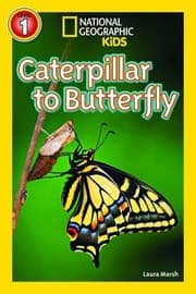 Tapa de National Geographic Kids Readers: Caterpillar to Butterfly (National Geographic Kids Readers: Level 1)
