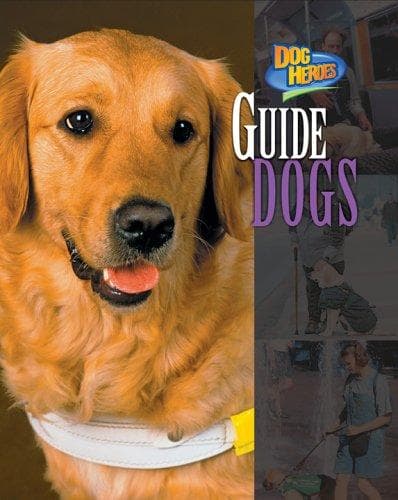 Tapa de Guide dogs