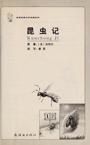Tapa de Kun chong ji