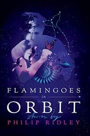 Tapa de Flamingoes in Orbit