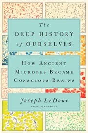 Tapa de The Deep History of Ourselves