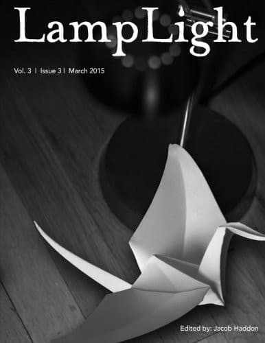 Tapa de LampLight - Volume 3 Issue 3 (Volume 11)