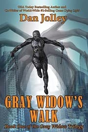 Tapa de Gray Widow's Walk