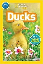 Tapa de Ducks