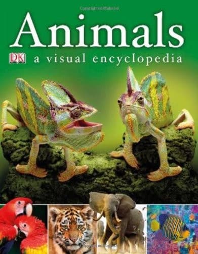 Tapa de Animals