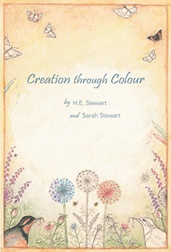 Tapa de Creation Through Colour
