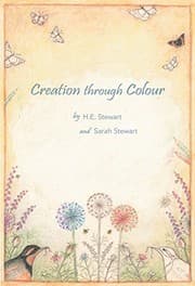 Tapa de Creation Through Colour