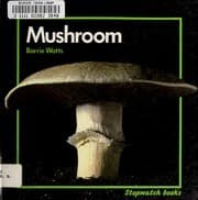 Tapa de Mushroom