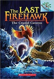 Tapa de The Crystal Caverns